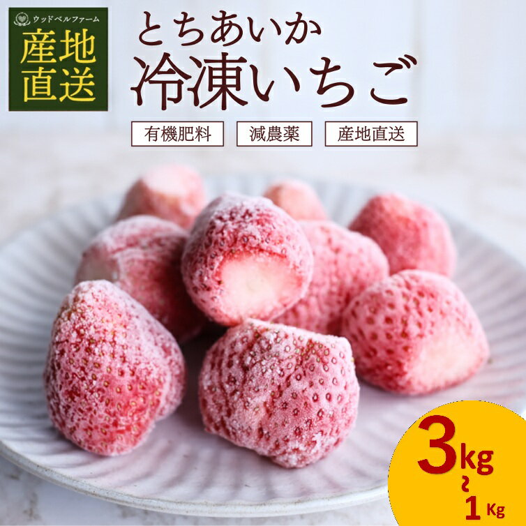 【先行予約】 限定 選べる 完熟 冷凍 とちあいか いちご イチゴ 苺 フルーツ 果物 1kg 2kg 3kg 訳あり 不揃い | 選べる 冷凍 スイーツ ジャム スムージー たっぷり 大粒 甘い 美味しい デザート 人気急上昇 安い お買い得 栃木県 那珂川町 送料無料