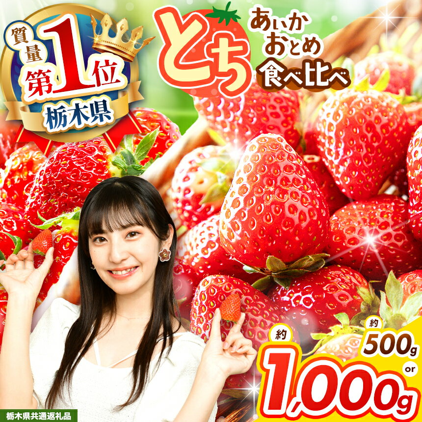 【栃木県共通返礼品】【先行予約】【選べる内容量】 とちあいか＆とちおとめ 食べ比べ 500g～1000g| いちご とちあいか 大粒 新鮮 甘い 食べ比べ 数量 限定 美味しい 果物 共通返礼品 フルーツ デザート 栃木県 那珂川町 送料無料