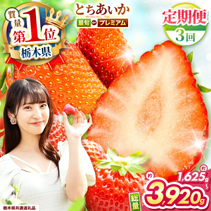 【栃木県共通返礼品】【先行予約】【選べる品種・定期便】プレミアムとちあいか　最旬とちあいか | 定期便 いちごいちご とちあいか 大粒 新鮮 甘い 食べ比べ 数量 限定 美味しい 果物 フルーツ デザート 栃木県 那珂川町 送料無料 ご褒美