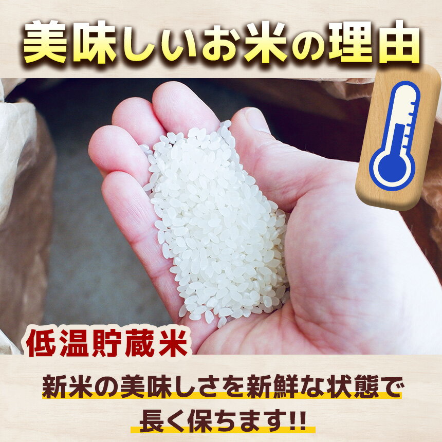 【栃木県共通返礼品】【令和7年度】【選べる定期便！】栃木県産とちぎの星 5kg~20kg |定期便 選べる ふるさと 納税 とちぎの星 お米 精米 白米 無洗米 共通返礼品 送料無料 那珂川町 栃木県 - 画像3