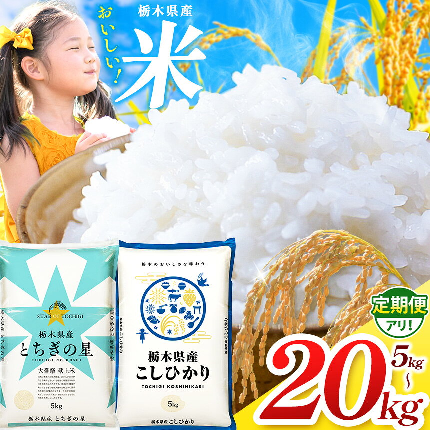 【栃木県共通返礼品】【令和7年度】【選べる定期便！】栃木県産とちぎの星 5kg~20kg |定期便 選べる ふるさと 納税 とちぎの星 お米 精米 白米 無洗米 共通返礼品 送料無料 那珂川町 栃木県