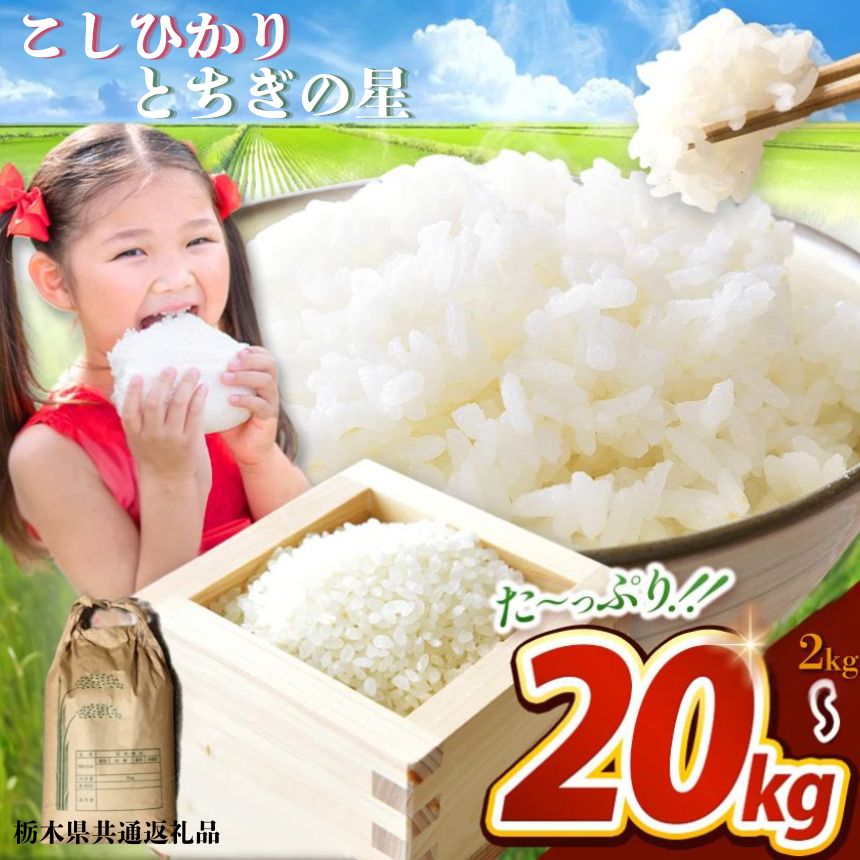 栃木県共通返礼品 楽天限定 数量 限定 人気 選べる 米 お米 こめ コメ コシヒカリ こしひかり とちぎの星 精米 美味しい 白米 玄米 数量限定 令和7年度 栃木県産 | 送料無料 栃木県 那珂川町 期間限定