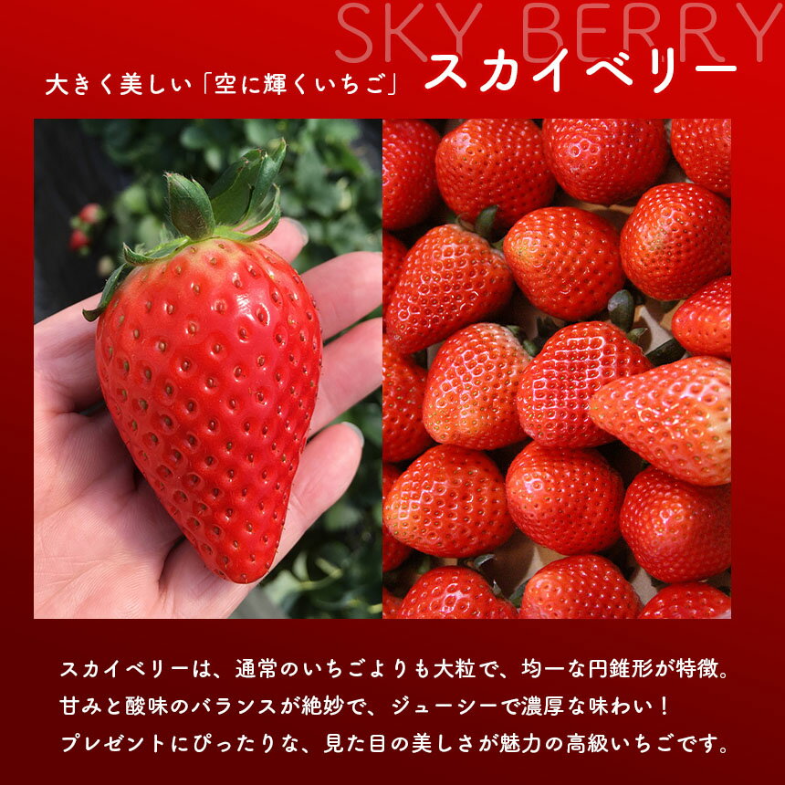 【ふるさと納税】【2026年先行予約】スカイベリー＆とちあいか スカイベリー＆とちおとめ 食べ比べ 300g×2 2箱 3箱 | 果物 くだもの フルーツ 苺 イチゴ いちご とちあいか とちおとめ スカイベリー 食べ比べ 美味しい デザート 栃木県 那珂川町 送料無料 先行予約 選べる サムネイル3