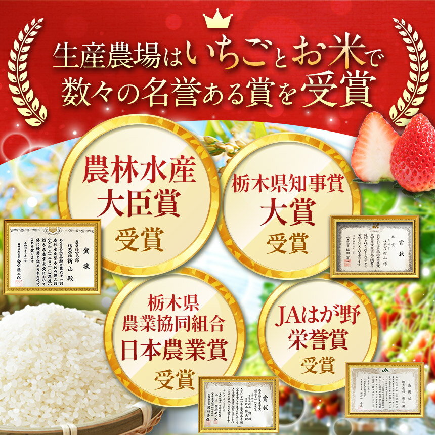 【ふるさと納税】 いちご 限定 選べる とちあいか 大粒 新鮮 甘い 食べ比べ 数量 美味しい 果物 共通返礼品 フルーツ デザート 栃木県共通返礼品 選べる 内容量 とちあいか 580g ～ 2900g | 栃木県 那珂川町 送料無料 ご褒美 サムネイル2