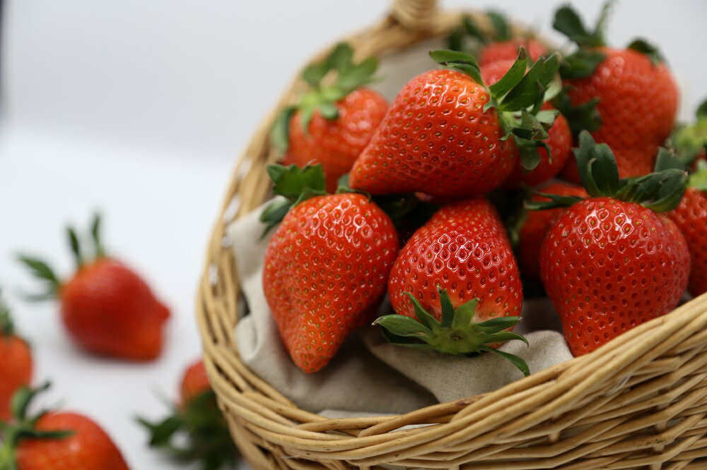 【ふるさと納税】いちご＜2026年 先行予約＞『やよいひめ』約800g【2025年群馬県いちご品評会入賞！】 サムネイル3