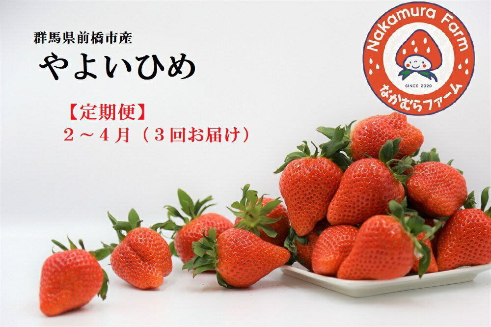 《2026先行予約》【定期便／3ヵ月連続お届け】群馬県前橋市産いちご　『やよいひめ』　約800g×3回（総量2.4Kg)【2025年群馬県いちご品評会入賞！】
