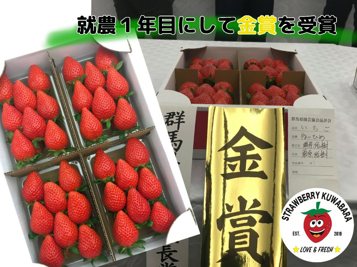 【ふるさと納税】＜2026年 先行予約＞いちご品評会 最高金賞受賞 やよいひめ いちご 約800g｜朝採れ やみつき やよいひめ 高品質 たっぷり 贈答用 新鮮 完熟 いちご 旬 苺 高級 産地直送 果汁 甘い あまい 人気 高評価 高糖度 ごほうび プレゼント 群馬県 前橋市 A-157 サムネイル3