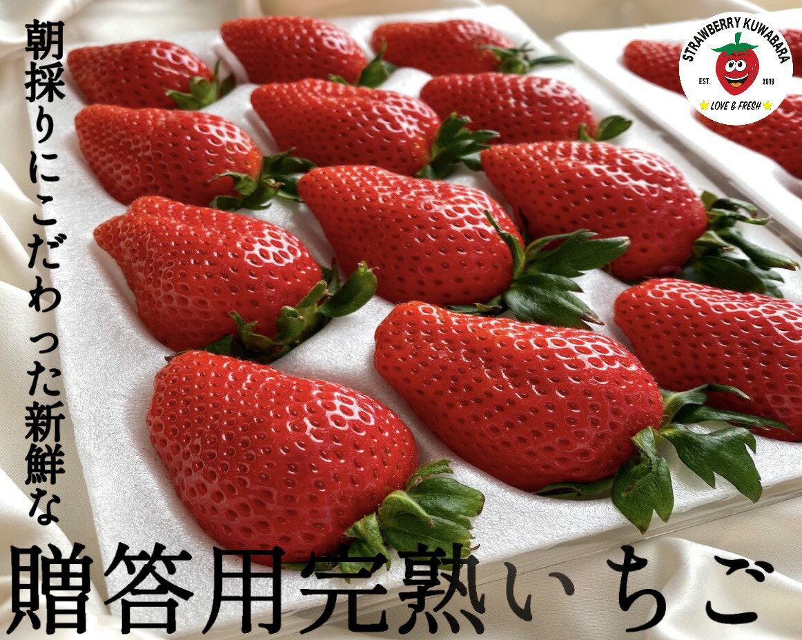 【ふるさと納税】＜2026年 先行予約＞いちご品評会 最高金賞受賞 やよいひめ いちご 約800g｜朝採れ やみつき やよいひめ 高品質 たっぷり 贈答用 新鮮 完熟 いちご 旬 苺 高級 産地直送 果汁 甘い あまい 人気 高評価 高糖度 ごほうび プレゼント 群馬県 前橋市 A-157 サムネイル2