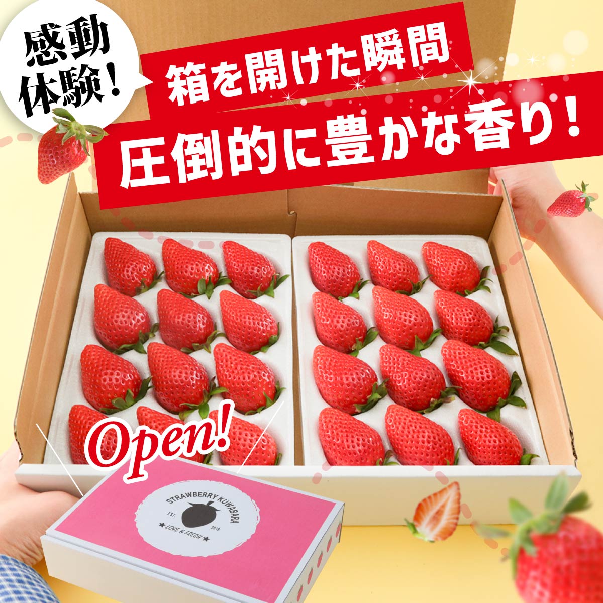 【ふるさと納税】いちご やよいひめ 選べる内容 400g 800g 定期便 いちご品評会最高金賞受賞 ｜おいしい 大粒 高評価 非日常 完熟 新鮮 朝採れ やみつき 人気 高品質 たっぷり 贈答 土耕 完熟 旬 産地直送 甘い あまい 人気 高糖度 ごほうび プレゼント 群馬県 前橋市 - 画像2