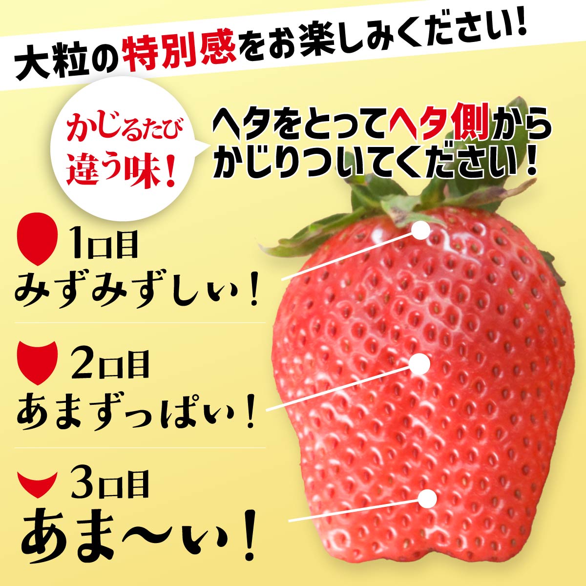 【ふるさと納税】いちご やよいひめ 選べる内容 400g 800g 定期便 いちご品評会最高金賞受賞 ｜おいしい 大粒 高評価 非日常 完熟 新鮮 朝採れ やみつき 人気 高品質 たっぷり 贈答 土耕 完熟 旬 産地直送 甘い あまい 人気 高糖度 ごほうび プレゼント 群馬県 前橋市 - 画像3