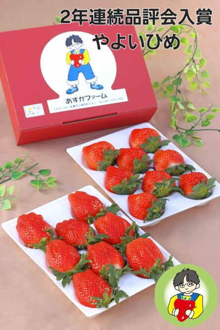 【ふるさと納税】＜2026年 先行予約＞やよいひめ400g × 2パック 800g｜コク 甘み 朝採れ やよいひめ 大粒 甘み 酸味 バランス 贈答用 新鮮 完熟 いちご 旬 苺 ストロベリー 産地直送 果汁 甘い あまい 人気 高評価 減農薬 美容 健康 旨味 高糖度 ごほうび 群馬県 前橋市 サムネイル2