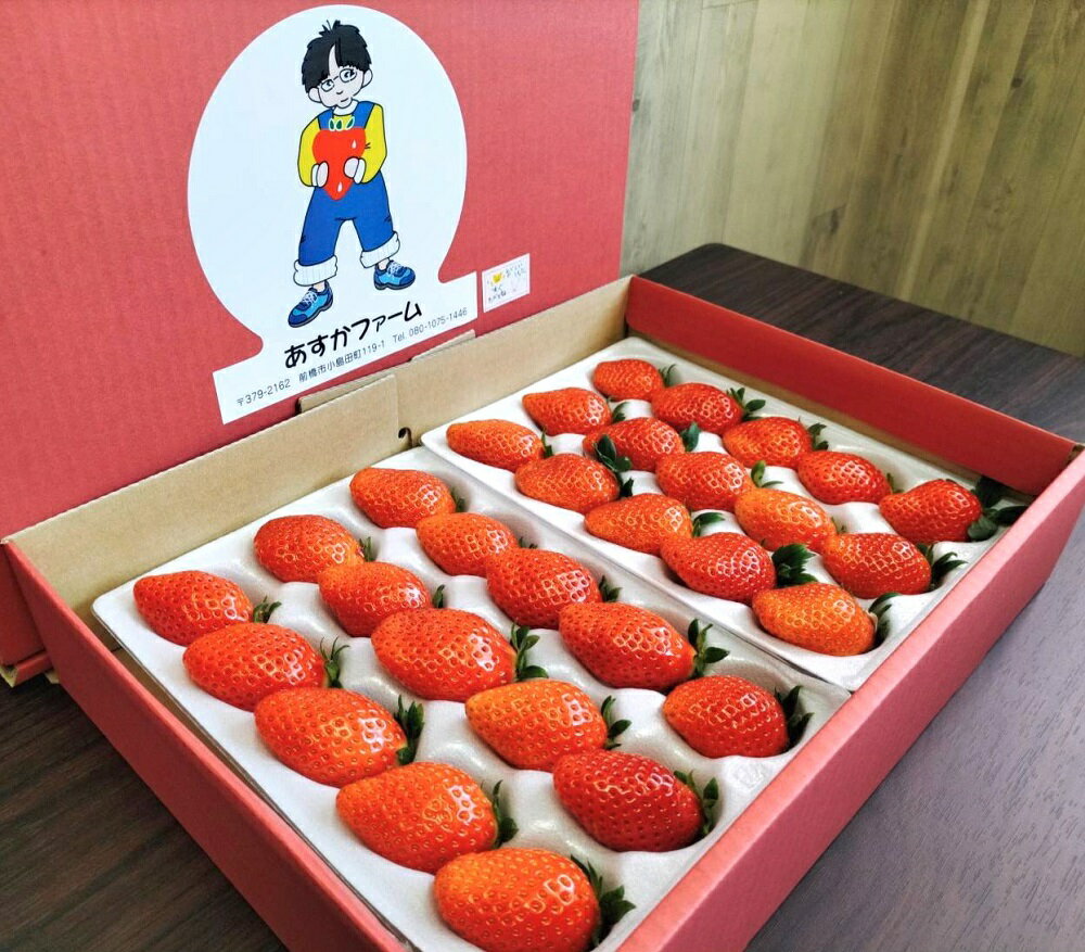 【ふるさと納税】＜2026年 先行予約＞いちご 2種食べ比べ 400g × 2パック 計800g ｜コク 甘み 朝採れ やよいひめ ななか 恋みのり あまおとめ あすかルビー 贈答用 新鮮 完熟 いちご 旬 苺 産地直送 果汁 あまい 人気 高評価 減農薬 美容 健康 旨味 高糖度 群馬県 前橋市 サムネイル2