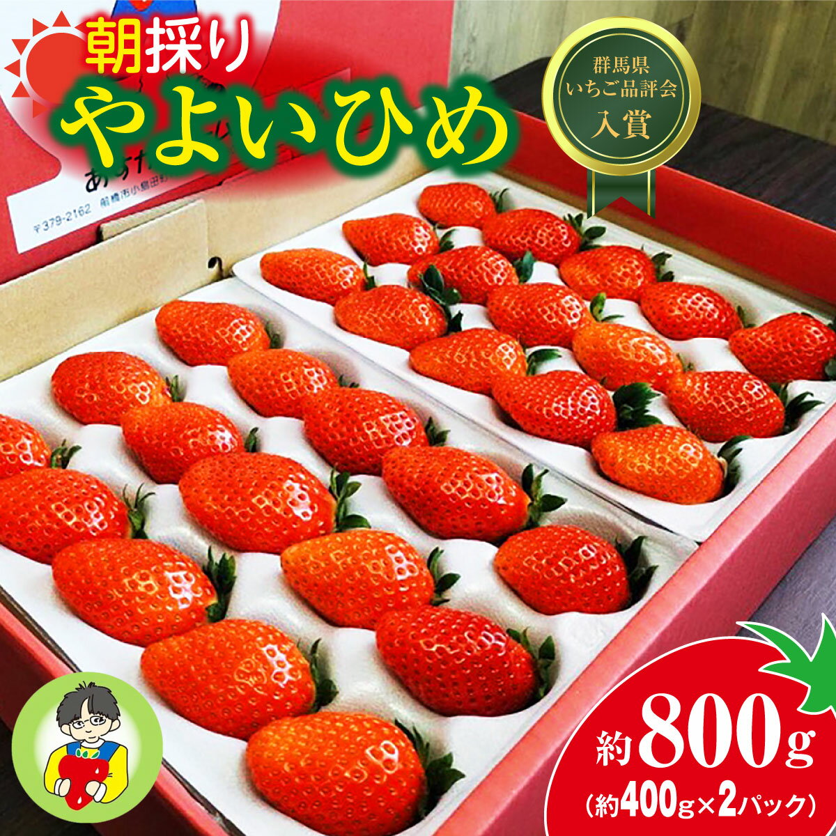 ＜2026年 先行予約＞やよいひめ400g × 2パック 800g｜コク 甘み 朝採れ やよいひめ 大粒 甘み 酸味 バランス 贈答用 新鮮 完熟 いちご 旬 苺 ストロベリー 産地直送 果汁 甘い あまい 人気 高評価 減農薬 美容 健康 旨味 高糖度 ごほうび 群馬県 前橋市