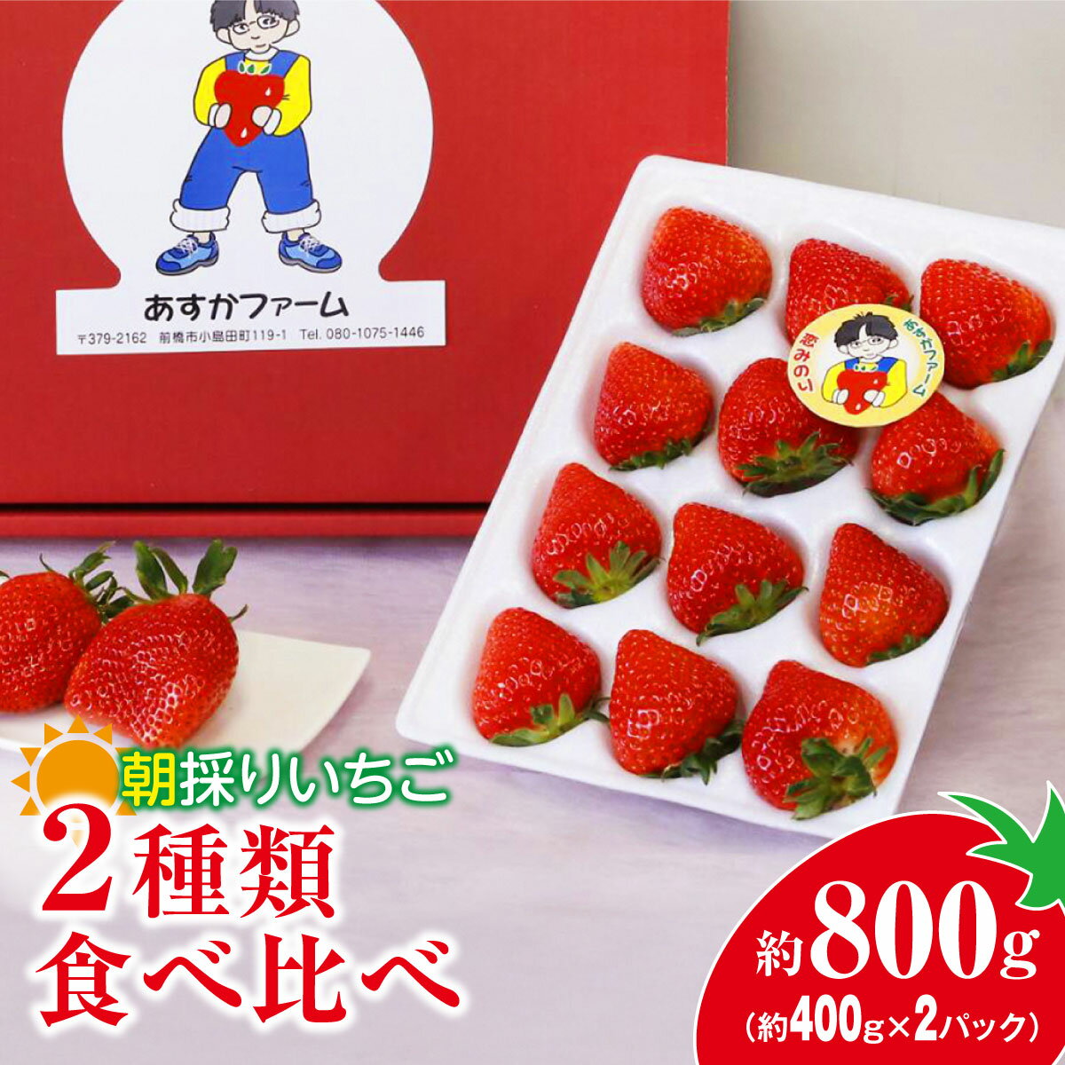 ＜2026年 先行予約＞いちご 2種食べ比べ 400g × 2パック 計800g ｜コク 甘み 朝採れ やよいひめ ななか 恋みのり あまおとめ あすかルビー 贈答用 新鮮 完熟 いちご 旬 苺 産地直送 果汁 あまい 人気 高評価 減農薬 美容 健康 旨味 高糖度 群馬県 前橋市