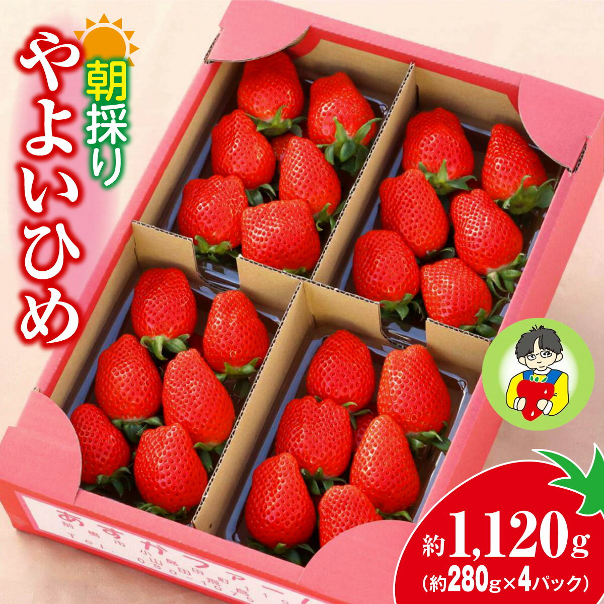 ＜2026年 先行予約＞やよいひめ 280g × 4パック｜コク 甘み 朝採れ やよいひめ 大粒 甘み 酸味 バランス 贈答用 新鮮 完熟 いちご 旬 苺 ストロベリー 産地直送 果汁 甘い あまい 人気 高評価 減農薬 美容 健康 旨味 高糖度 ごほうび 群馬県 前橋市 R5-80