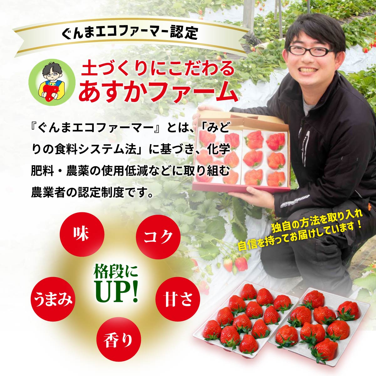 【ふるさと納税】【先行予約：選べる内容】 やよいひめ 4種食べ比べ 500g 2パック 4パック | 朝採れ イチゴ 苺 高品質 たっぷり 新鮮 完熟 旬 高級 産地直送 甘い あまい 人気 高評価 高糖度 ごほうび プレゼント 朝採れ やよいひめ ななか 贈答用 群馬県 前橋市 サムネイル2
