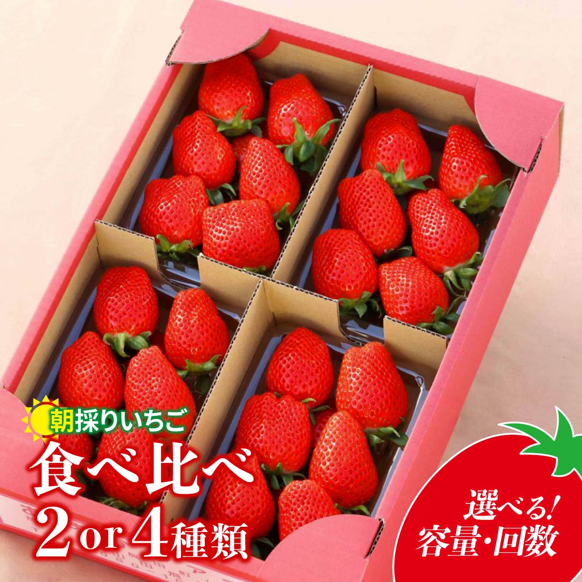 【先行予約：選べる容量・回数】 いちご 2種/4種 食べ比べ 【800g/1120g/1600g/4ヵ月定期便】 1回分 定期便 | イチゴ 苺 高品質 新鮮 完熟 旬 ストロベリー 高級 人気 プレゼント 朝採れ やよいひめ ななか 恋みのり あまおとめ 贈答用 群馬県 前橋市