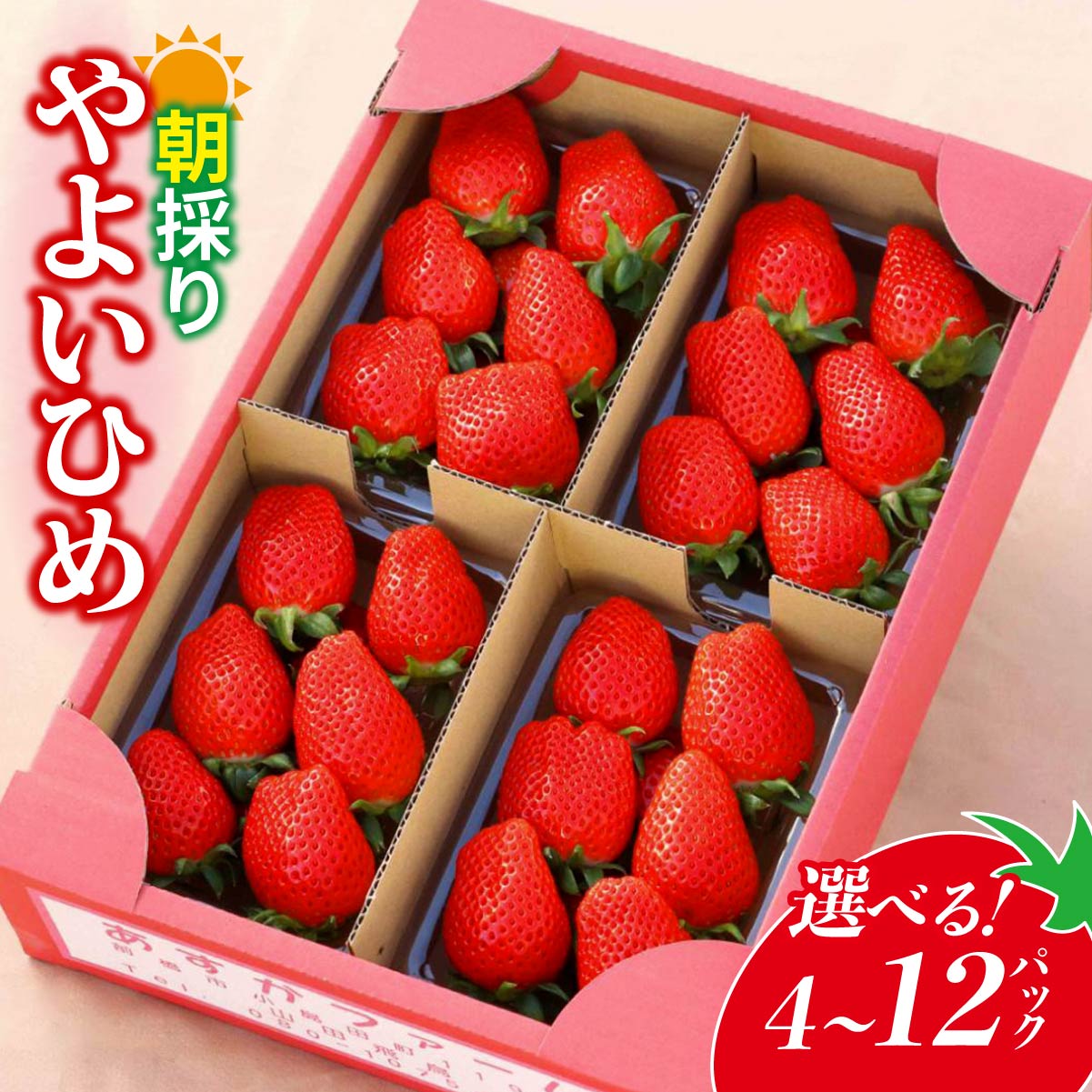 先行予約 選べる容量・回数 やよいひめ 4パック/12パック/4ヵ月定期便 | 朝採れ イチゴ 苺 高品質 たっぷり 新鮮 完熟 旬 ストロベリー 高級 産地直送 果汁 甘い あまい 人気 高評価 高糖度 ごほうび プレゼント 朝採れ 贈答用 群馬県 前橋市