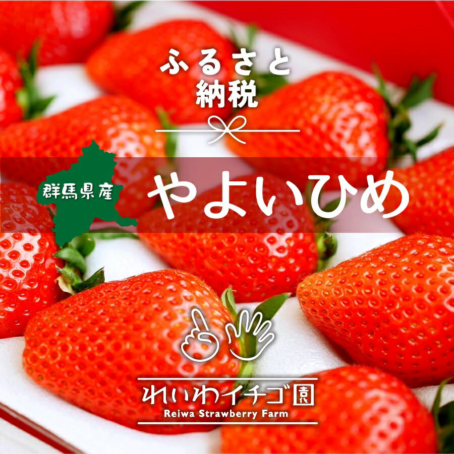 【ふるさと納税】＜2026年 先行予約＞やよいひめ いちご 800g｜ 朝採れ やよいひめ たっぷり 贈答用 新鮮 完熟 いちご 旬 苺 ストロベリー 高級 産地直送 果汁 甘い あまい 人気 高評価 減農薬 有機肥料 生産 生産量 産地 王国 高糖度 プレゼント 群馬県 前橋市 サムネイル3