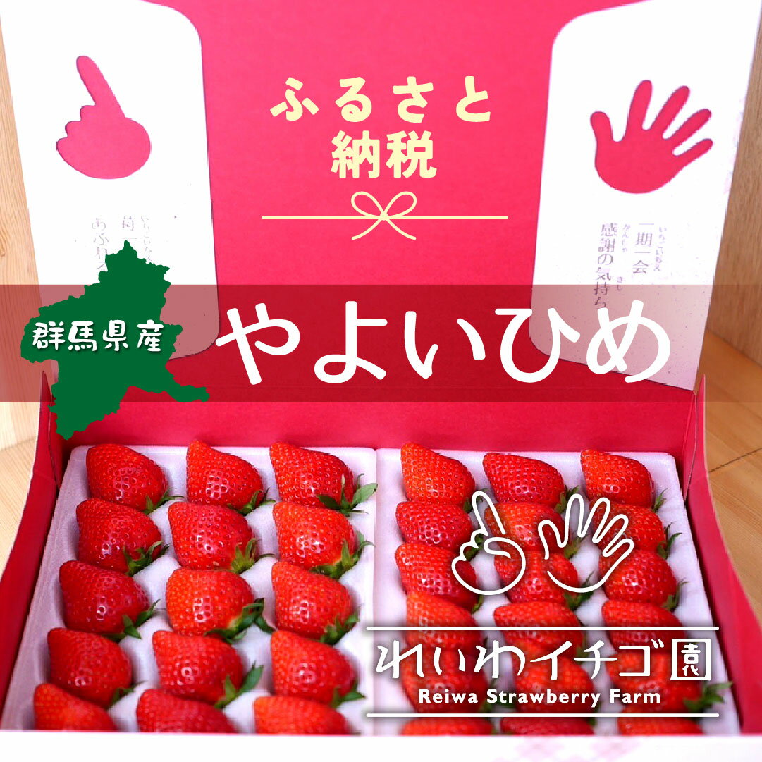 ＜2026年 先行予約＞やよいひめ いちご 800g｜ 朝採れ やよいひめ たっぷり 贈答用 新鮮 完熟 いちご 旬 苺 ストロベリー 高級 産地直送 果汁 甘い あまい 人気 高評価 減農薬 有機肥料 生産 生産量 産地 王国 高糖度 プレゼント 群馬県 前橋市