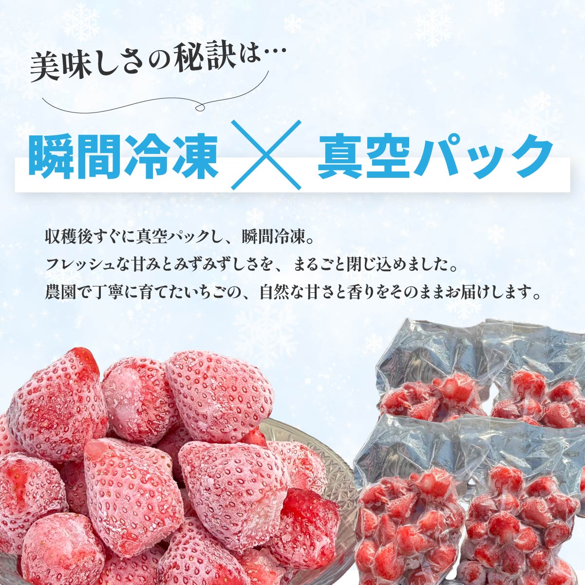 やよいひめ 冷凍いちご 2kg ｜ いちご やよいひめ 冷凍 小分け 大容量 スムージー アイス ジャム ひんやり 冷凍 群馬県産 れいわイチゴ園 ルックライン 群馬県 前橋市 サムネイル2