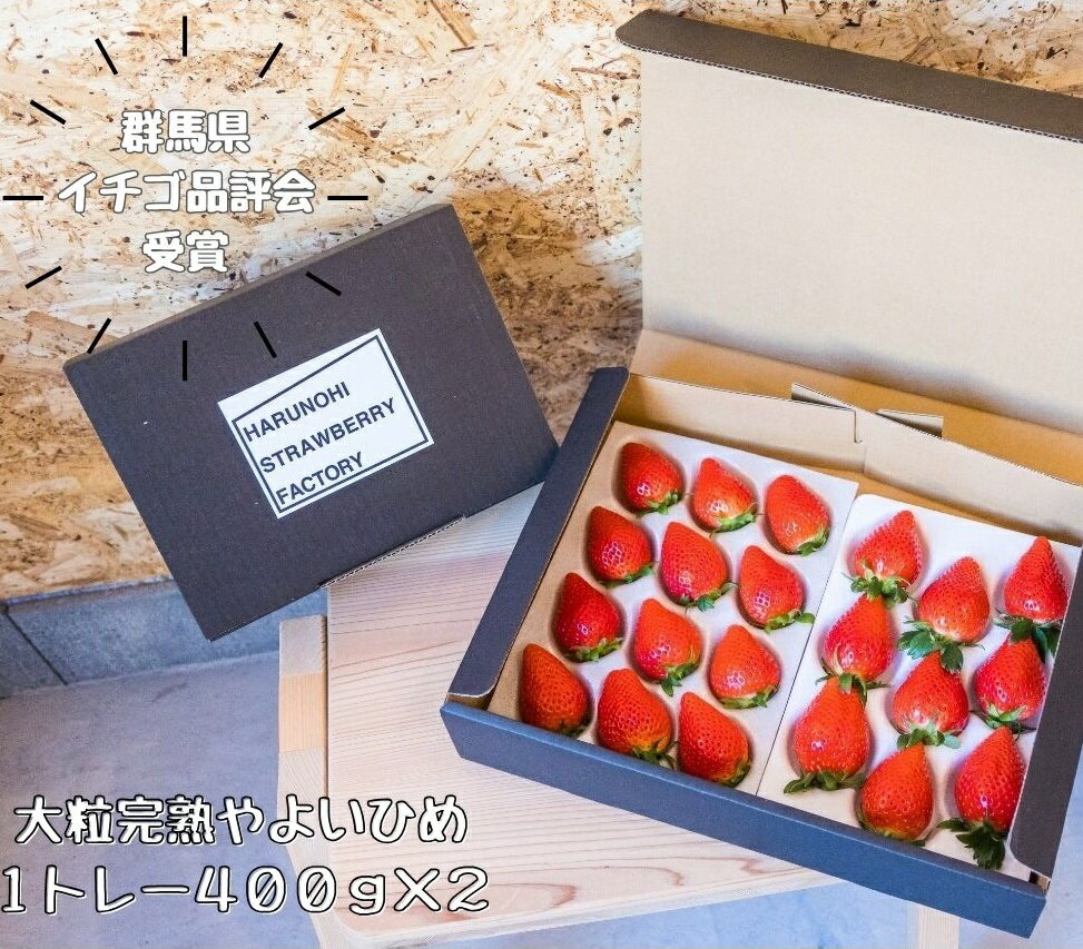 ＜2026年 先行予約＞大粒完熟　群馬県産いちご「やよいひめ」400g×2 約800g｜朝採れ やみつき やよいひめ 高品質 たっぷり 贈答用 新鮮 完熟 いちご 旬 苺 ストロベリー 高級 産地直送 果汁 甘い 人気 高評価 高糖度 プレゼント 群馬県 前橋市