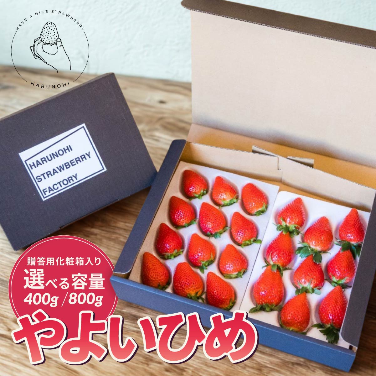【選べる内容量】【2026年 先行予約】大粒完熟 群馬県産いちご「やよいひめ」400g×1 計400g 400g×2 計800g｜朝採れ やみつき高品質 たっぷり 贈答用 新鮮 完熟 いちご 旬 苺 ストロベリー 高級 産地直送 果汁 甘い あまい 人気 高評価 群馬県 前橋市