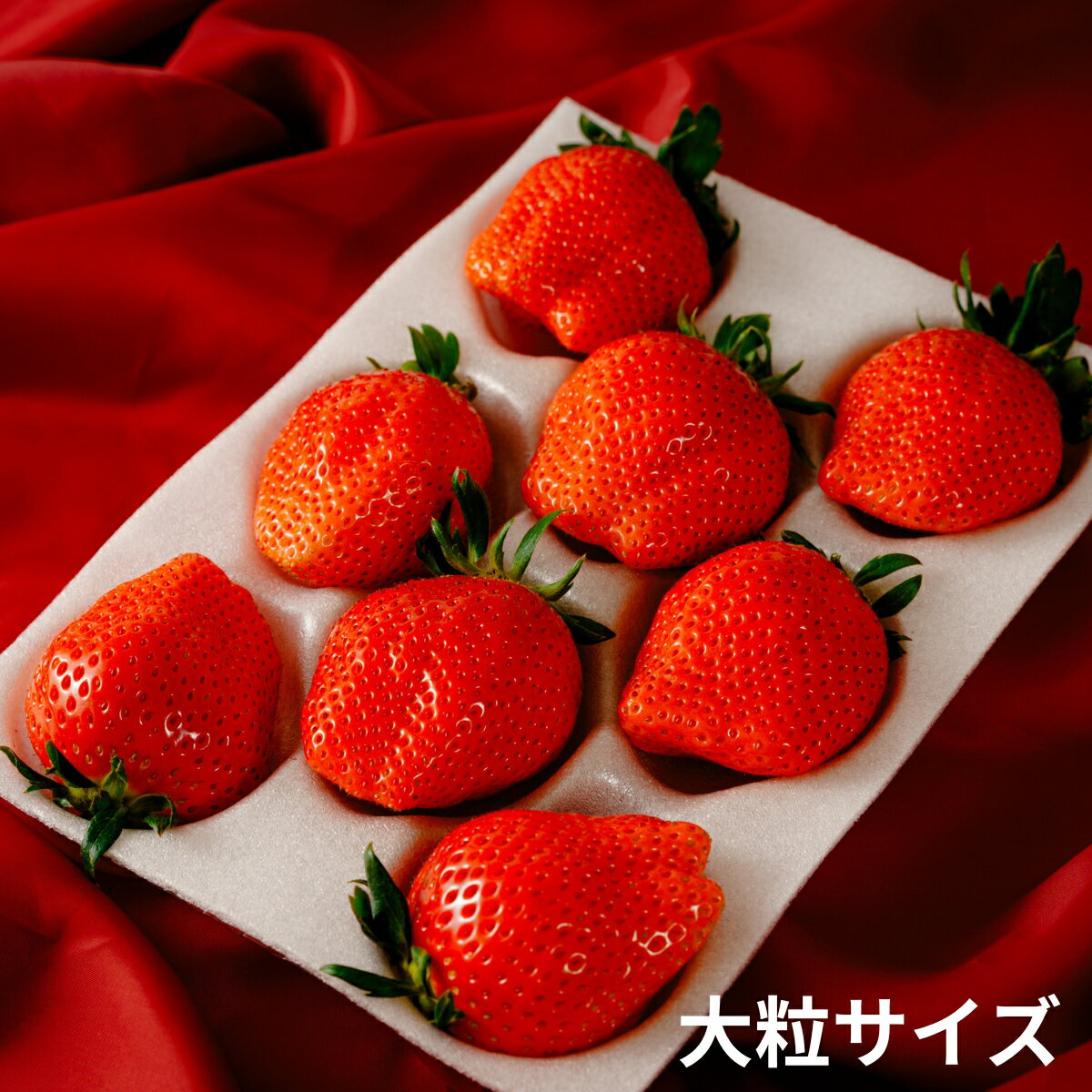 【ふるさと納税】＜2026年 先行予約＞いちご やよいひめ 約800g 群馬県いちご品評会最高金賞｜ 朝採れ やみつき 高品質 たっぷり 贈答用 新鮮 完熟 いちご 旬 苺 ストロベリー 高級 産地直送 果汁 甘い あまい 人気 高評価 減農薬 有機肥料 高糖度 プレゼント 群馬県 前橋市 サムネイル3