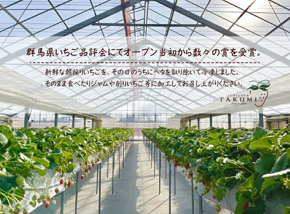 【ふるさと納税】冷凍いちご 2kg 1kg×2袋 2026年3月発送 ｜訳あり 朝採れ やみつき高品質 たっぷり 贈答用 新鮮 完熟 いちご 旬 苺 ストロベリー 高級 産地直送 果汁 甘い あまい 人気 高評価 減農薬 有機肥料 高糖度 ごほうび プレゼント ジャム スムージー 群馬県 前橋市 サムネイル3