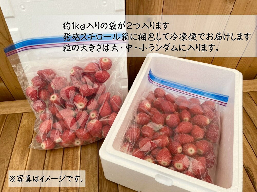 【ふるさと納税】冷凍いちご 2kg 1kg×2袋 2026年3月発送 ｜訳あり 朝採れ やみつき高品質 たっぷり 贈答用 新鮮 完熟 いちご 旬 苺 ストロベリー 高級 産地直送 果汁 甘い あまい 人気 高評価 減農薬 有機肥料 高糖度 ごほうび プレゼント ジャム スムージー 群馬県 前橋市 サムネイル2