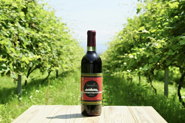 R6-1 赤ワイン「Nanroku2022」 1本｜日本ワイン フルボディ 国産ぶどう
