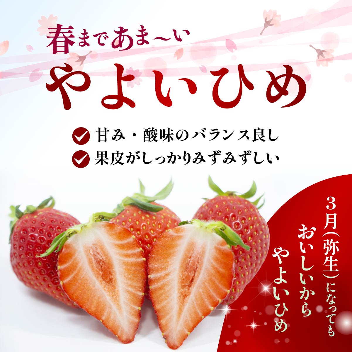 【ふるさと納税】【先行予約：選べる内容】 やよいひめ 4種食べ比べ 500g 2パック 4パック | 朝採れ イチゴ 苺 高品質 たっぷり 新鮮 完熟 旬 高級 産地直送 甘い あまい 人気 高評価 高糖度 ごほうび プレゼント 朝採れ やよいひめ ななか 贈答用 群馬県 前橋市 サムネイル3