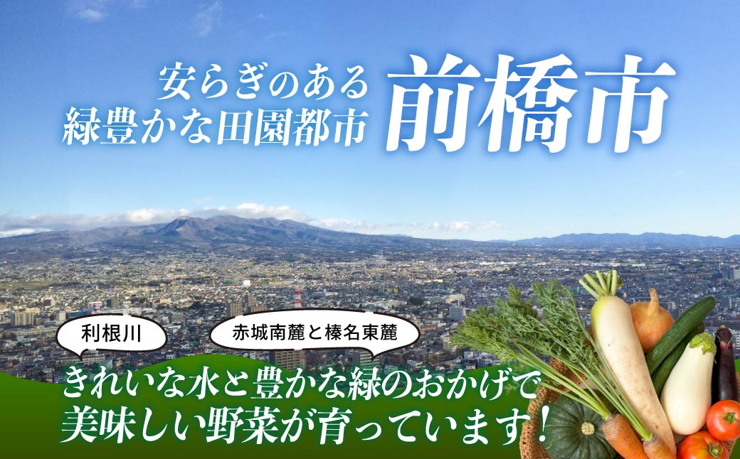 【ふるさと納税】季節の野菜 詰め合わせセット 定期便（偶数月）年6回 | 野菜セット 新鮮 旬野菜 朝どれ 農家直送 旬 野菜 鮮度 赤城山麓 群馬野菜 国産野菜 詰め合わせ 野菜詰合せ おまかせ野菜 野菜便 お取り寄せ 産直野菜 群馬県 前橋市 - 画像2