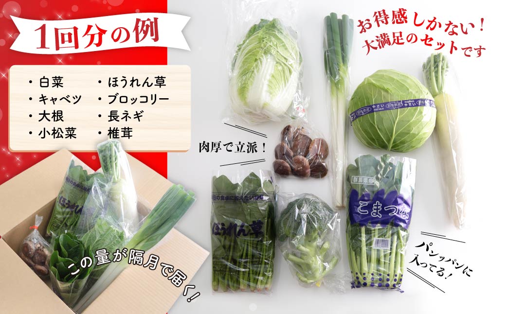 【ふるさと納税】季節の野菜 詰め合わせセット 定期便（偶数月）年6回 | 野菜セット 新鮮 旬野菜 朝どれ 農家直送 旬 野菜 鮮度 赤城山麓 群馬野菜 国産野菜 詰め合わせ 野菜詰合せ おまかせ野菜 野菜便 お取り寄せ 産直野菜 群馬県 前橋市 - 画像3