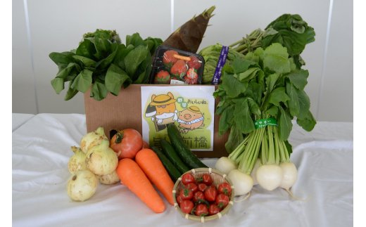 【ふるさと納税】【選べる配送回数】 赤城南麓で育った季節の野菜 (通常便/3カ月/6カ月) | 野菜 野菜セット 新鮮 旬野菜 朝どれ 農家直送 旬 鮮度 赤城山麓 群馬野菜 国産野菜 詰め合わせ 野菜詰合せ おまかせ野菜 野菜便 お取り寄せ 産直野菜 群馬県 前橋市 サムネイル2