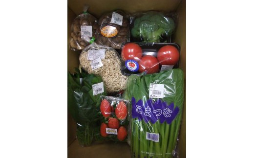 【ふるさと納税】【選べる配送回数】 赤城南麓で育った季節の野菜 (通常便/3カ月/6カ月) | 野菜 野菜セット 新鮮 旬野菜 朝どれ 農家直送 旬 鮮度 赤城山麓 群馬野菜 国産野菜 詰め合わせ 野菜詰合せ おまかせ野菜 野菜便 お取り寄せ 産直野菜 群馬県 前橋市 サムネイル3