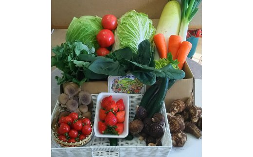 【選べる配送回数】 赤城南麓で育った季節の野菜 (通常便/3カ月/6カ月) | 野菜 野菜セット 新鮮 旬野菜 朝どれ 農家直送 旬 鮮度 赤城山麓 群馬野菜 国産野菜 詰め合わせ 野菜詰合せ おまかせ野菜 野菜便 お取り寄せ 産直野菜 群馬県 前橋市