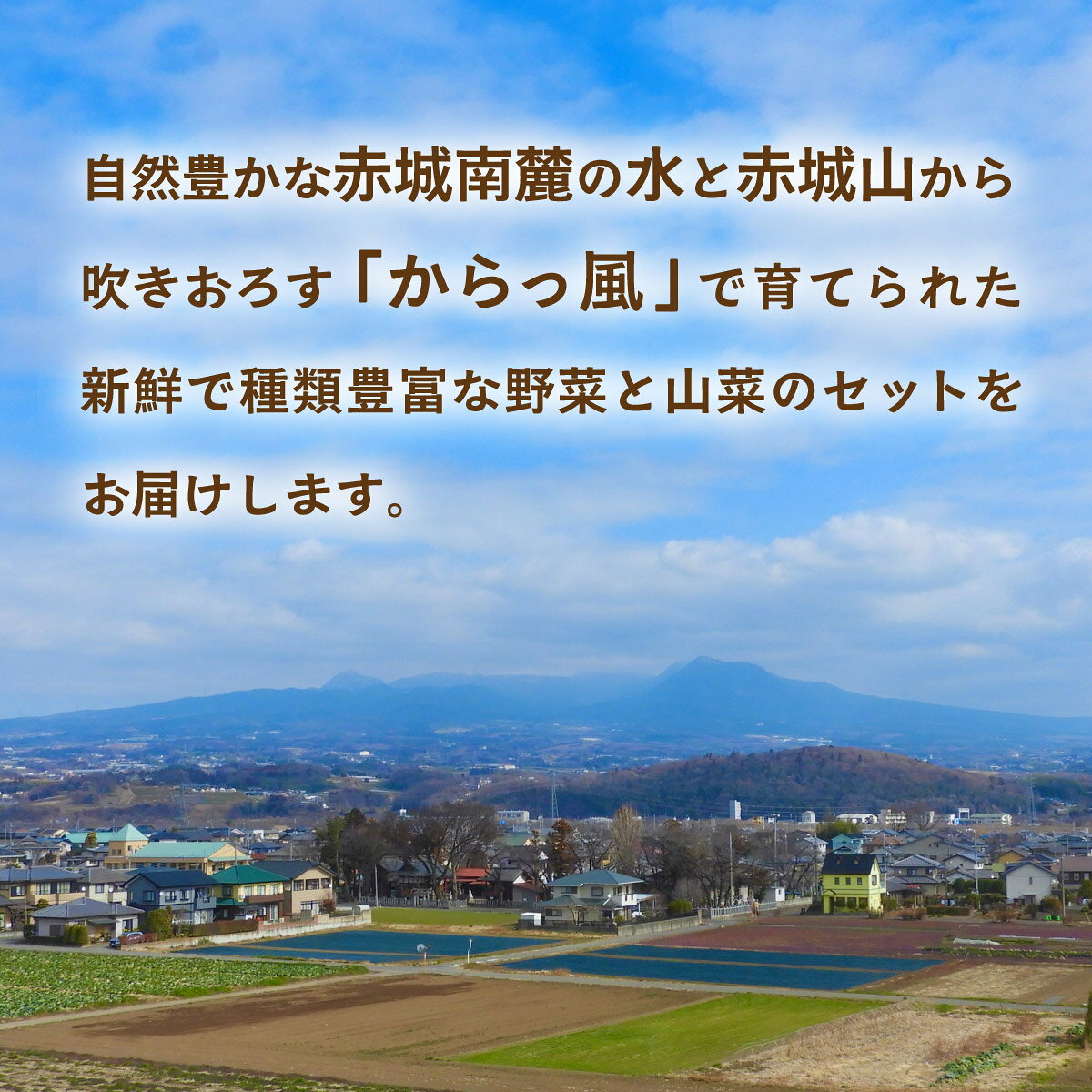 【ふるさと納税】野菜 選べる定期便 赤城南麓で育った季節の野菜 (通常便/3カ月/6カ月) | 野菜 野菜セット 新鮮 旬野菜 朝どれ 農家直送 旬 鮮度 赤城山麓 群馬野菜 国産野菜 詰め合わせ 野菜詰合せ おまかせ野菜 野菜便 お取り寄せ 産直野菜 群馬県 前橋市 - 画像3