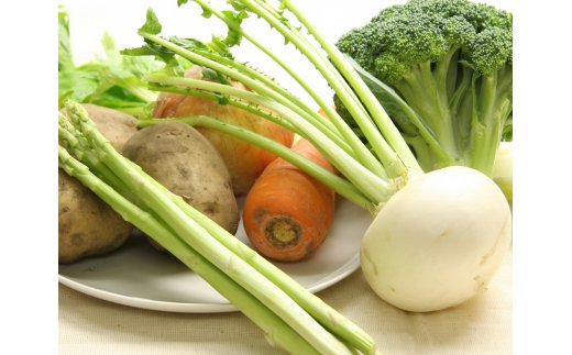 【ふるさと納税】A-07 野菜ソムリエが送る 良農園の旬野菜ギフト｜新鮮 朝どれ 農家直送 旬 野菜 野菜ソムリエ イタリア野菜 新種野菜 珍しい 西洋野菜 サムネイル3