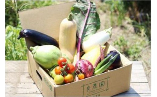 A-07 野菜ソムリエが送る 良農園の旬野菜ギフト｜新鮮 朝どれ 農家直送 旬 野菜 野菜ソムリエ イタリア野菜 新種野菜 珍しい 西洋野菜