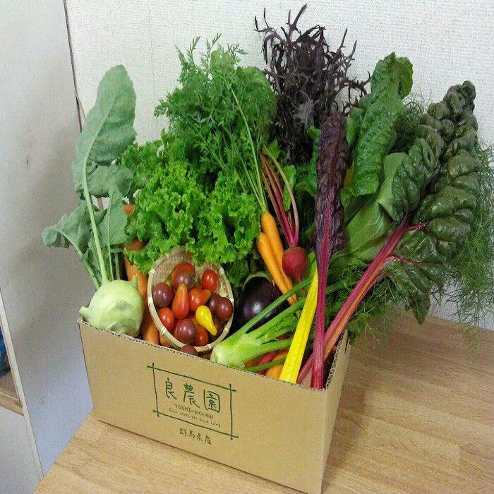 【ふるさと納税】A-07 野菜ソムリエが送る 良農園の旬野菜ギフト｜新鮮 朝どれ 農家直送 旬 野菜 野菜ソムリエ イタリア野菜 新種野菜 珍しい 西洋野菜 サムネイル2