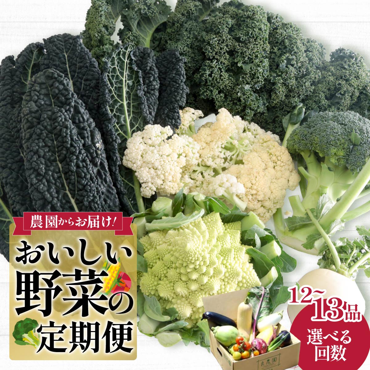 西洋野菜 セット 野菜の定期便 年6回 12～13品｜新鮮 朝どれ 農家直送 旬 野菜 野菜ソムリエ イタリア野菜 新種野菜 珍しい 西洋野菜