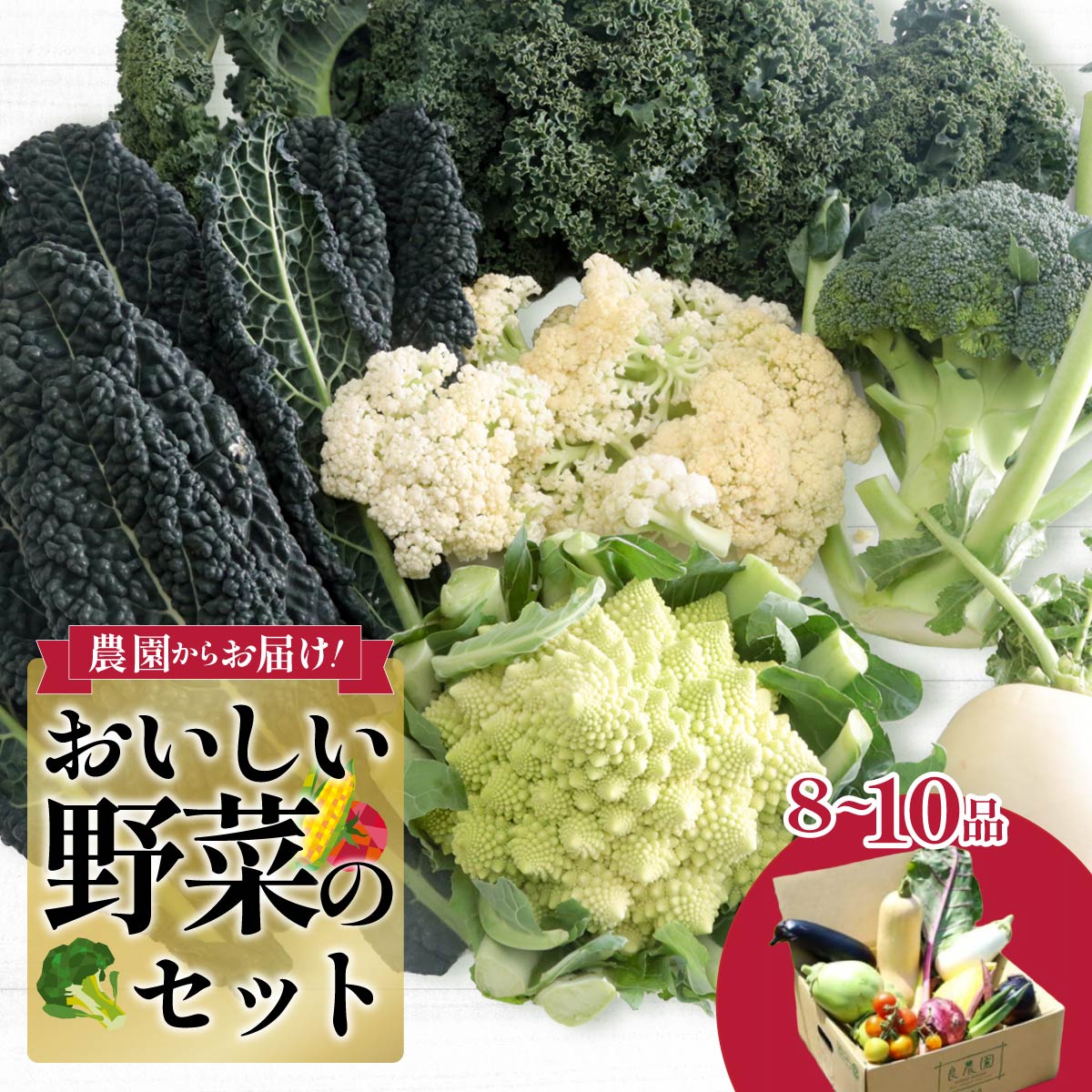 西洋野菜が入る 野菜セット 8～10品｜ 減農薬 野菜ソムリエ 旬野菜 イタリア野菜 珍しい 食べ比べ 生野菜 サラダ 野菜セット 詰め合わせ ギフト レシピ 贈り物 国産 朝採れ 新鮮野菜 季節の野菜 産直 食品ギフト 手土産 良農園 群馬県 前橋市