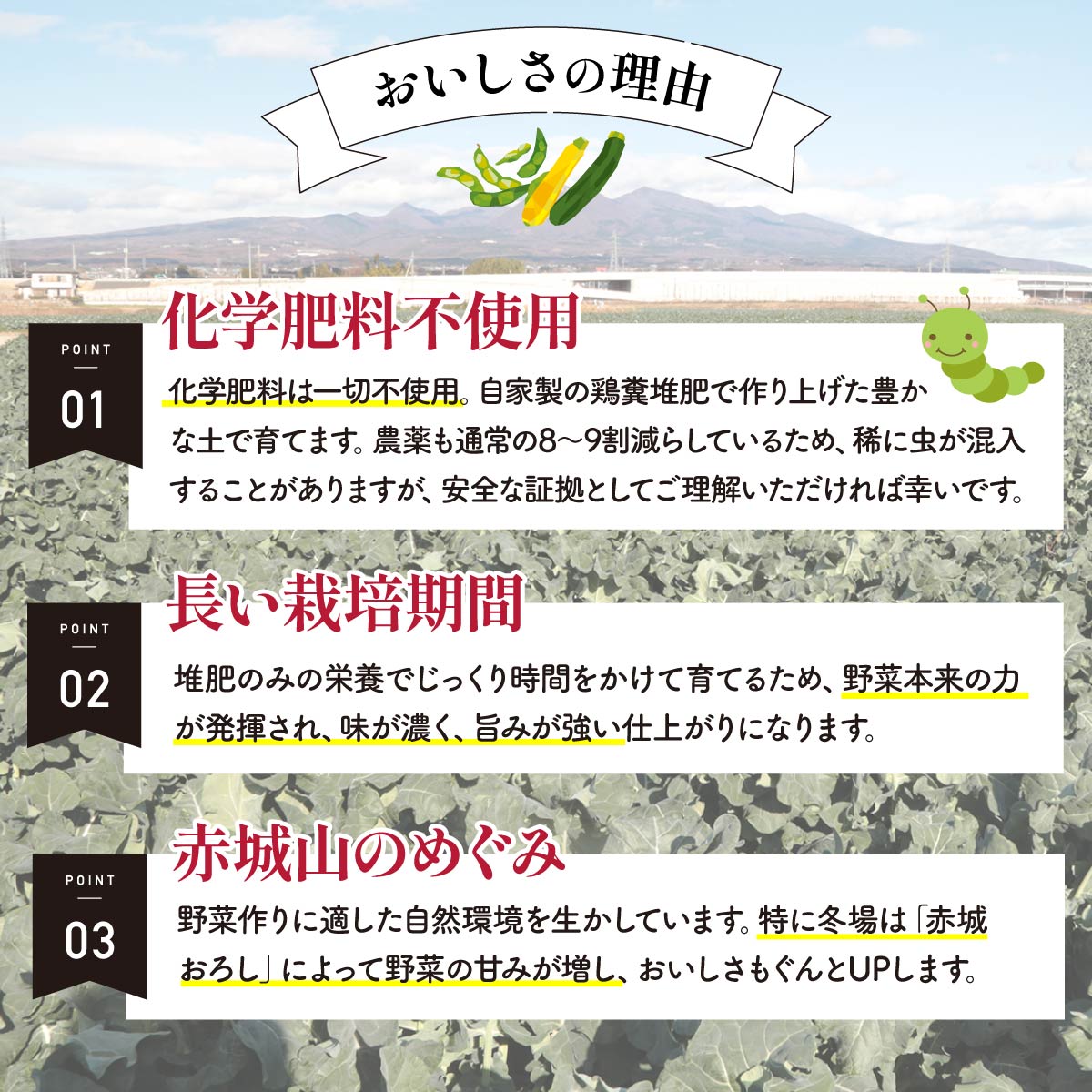 【ふるさと納税】西洋野菜が入る 野菜セット 8～10品｜ 減農薬 野菜ソムリエ 旬野菜 イタリア野菜 珍しい 食べ比べ 生野菜 サラダ 野菜セット 詰め合わせ ギフト レシピ 贈り物 国産 朝採れ 新鮮野菜 季節の野菜 産直 食品ギフト 手土産 良農園 群馬県 前橋市 - 画像3