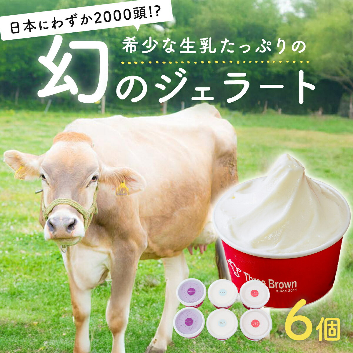 ジェラート 幻の牛の生乳から作る 無添加ジェラート 選べる数量 ｜アイス ジェラート 高評価 人気 無添加 ミルク 生乳 希少 美味しい 人気 リッチ 極上 乳製品 新鮮 なめらか あっさり デザート おやつ 贈り物 贈答 母の日 日用 食後 口直し 群馬県 前橋市