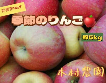 りんご 5kg ｜ さんさ あかぎ 陽光 ぐんま名月 ふじ リンゴ 旬 甘い ジューシー お取り寄せ ご当地 特産 産地直送 果物 フルーツ 季節 秋 冬 デザート おやつ 林檎 アップル 5キロ 2025年産 令和7年産 群馬県 前橋市