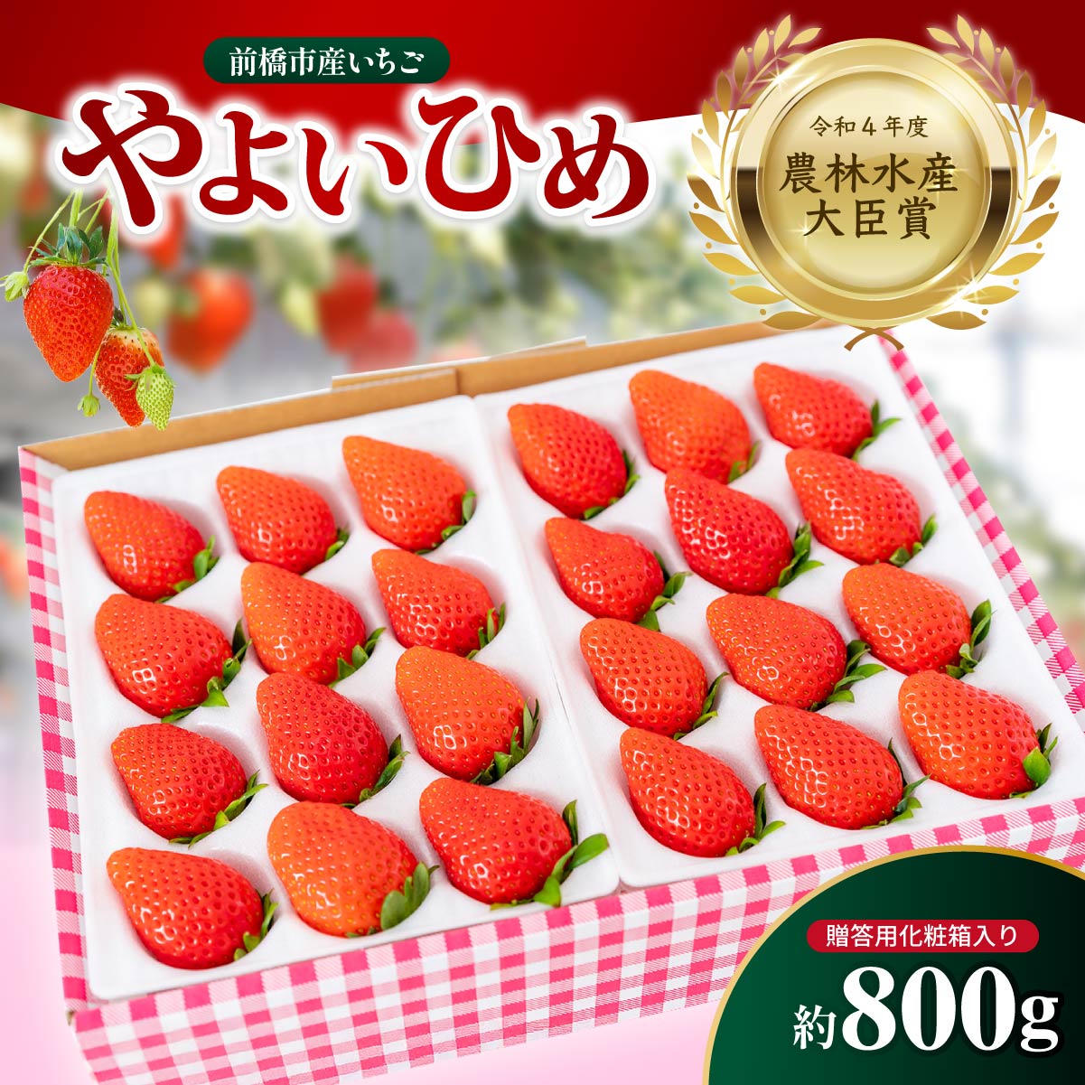 いちご 農林水産大臣賞受賞 やよいひめ 800g 2026年先行予約 ｜人気 高評価 朝採れ 贈答用 化粧箱 イチゴ 苺 高品質 フルーツ たっぷり 新鮮 完熟 旬 ストロベリー 高級 甘い あまい 人気 高評価 高糖度 ごほうび プレゼント 松井ファーム 群馬県 前橋市
