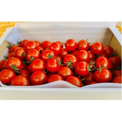 【ふるさと納税】高糖度ミニトマト1kg【1652024】 - 画像2