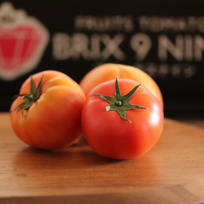 【令和8年3月発送開始】糖度9度以上!赤い宝石のようなフルーツトマト　ブリックスナイントマト4ケース_ トマト フルーツトマト 高糖度 甘い 美味しい 人気 新鮮【配送不可地域：離島】【1210034】