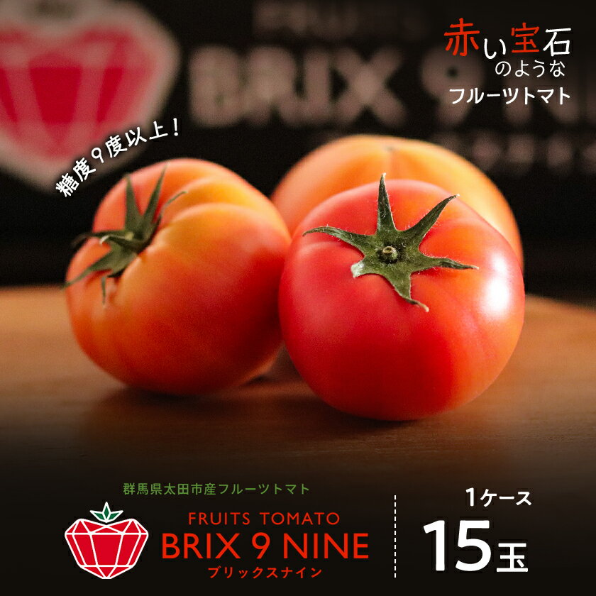 【令和8年3月発送開始】糖度9度以上!赤い宝石のようなフルーツトマト　ブリックスナイントマト1ケース_ トマト フルーツトマト 高糖度 美味しい 人気 新鮮 【配送不可地域：離島】【1210032】